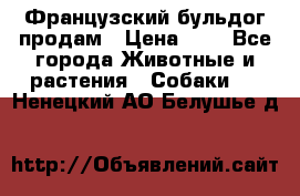 Французский бульдог продам › Цена ­ 1 - Все города Животные и растения » Собаки   . Ненецкий АО,Белушье д.